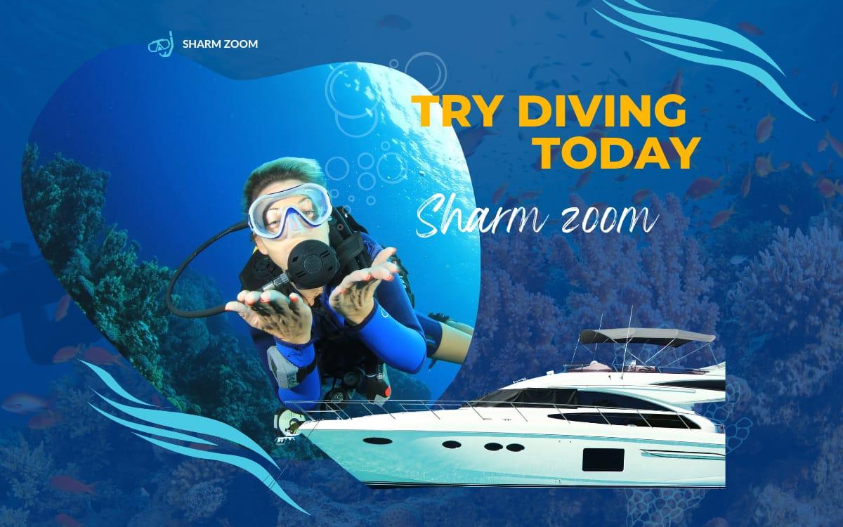 Boat Dive Trip  in Sharm El Sheikh for Beginner