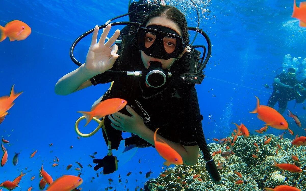 Shore Dive in Sharm Elsheikh for Beginner