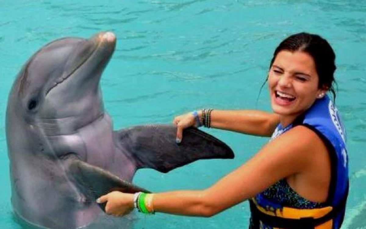 Swimming with Dolphin in Sharm el Sheikh