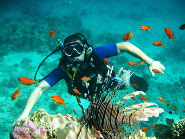 1Shore Dive in Sharm Elsheikh for Beginner