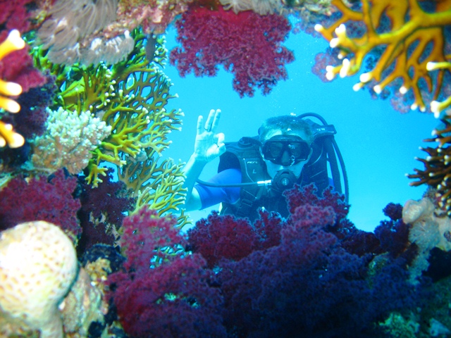 2Boat Dive Trip  in Sharm El Sheikh for Beginner