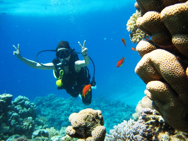 2Shore Dive in Sharm Elsheikh for Beginner