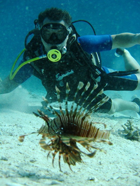 11Boat Dive Trip  in Sharm El Sheikh for Beginner