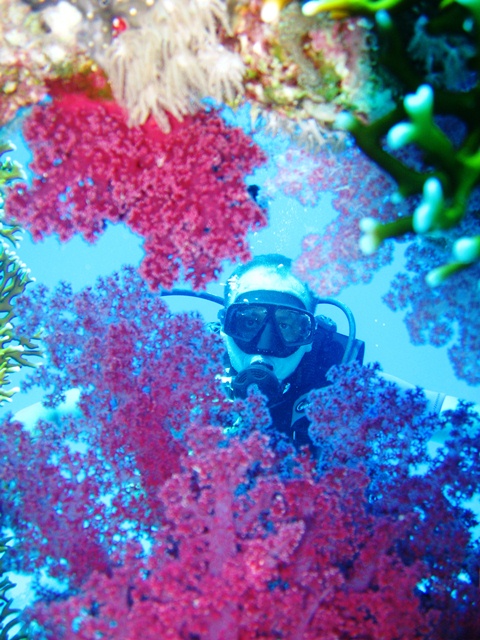 12Boat Dive Trip  in Sharm El Sheikh for Beginner