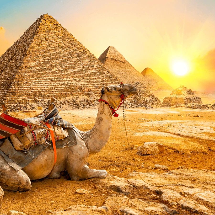 9Cairo &  the Grand Egyptian Museum by Bus from Sharm El sheikh