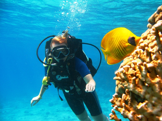 13Boat Dive Trip  in Sharm El Sheikh for Beginner