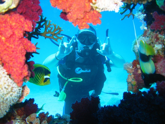 3Shore Dive in Sharm Elsheikh for Beginner