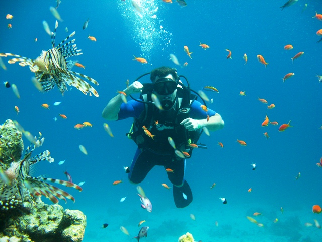 5Boat Dive Trip  in Sharm El Sheikh for Beginner