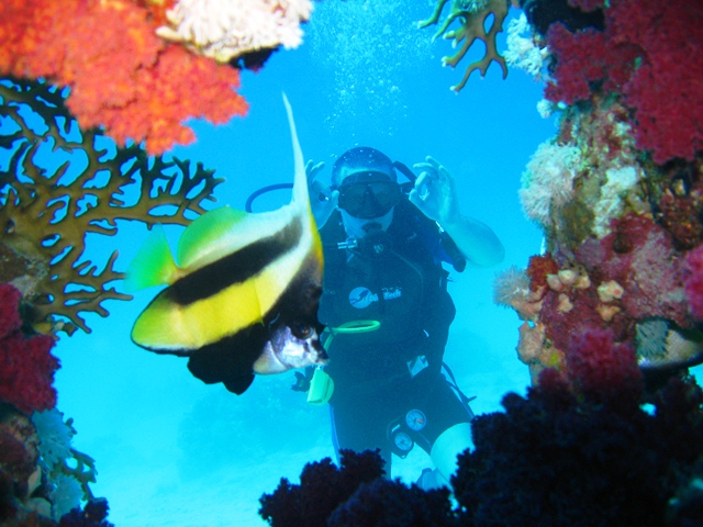 6Boat Dive Trip  in Sharm El Sheikh for Beginner