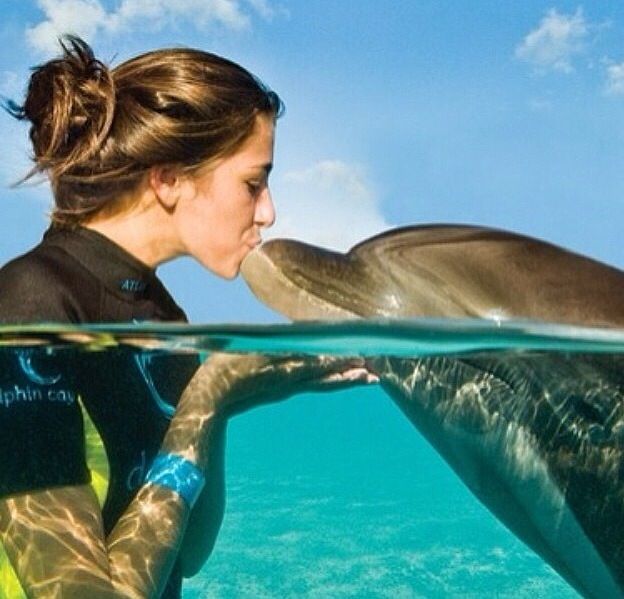 6Dolphin Show in Sharm El Sheikh