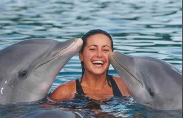 6Swimming with Dolphin in Sharm el Sheikh