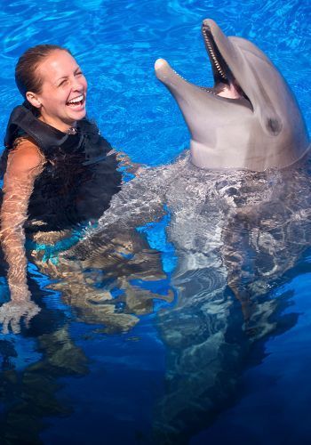 7Swimming with Dolphin in Sharm el Sheikh