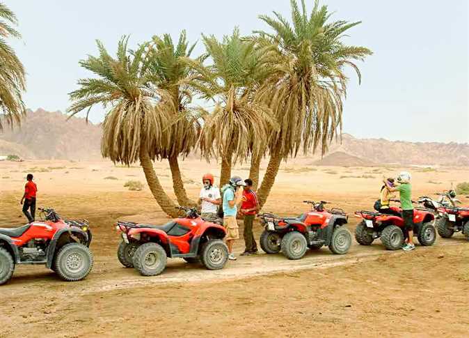 8Quad Biking, Buggy, Desert Safari With Bedouin Party And Dinner in Sharm El-Sheikh