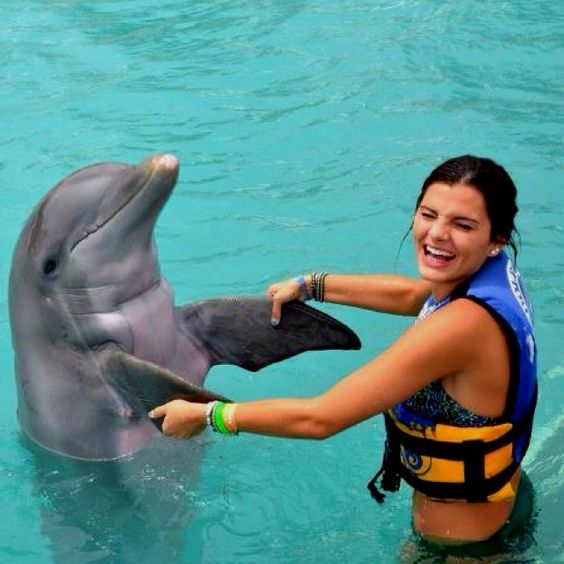 10Swimming with Dolphin in Sharm el Sheikh